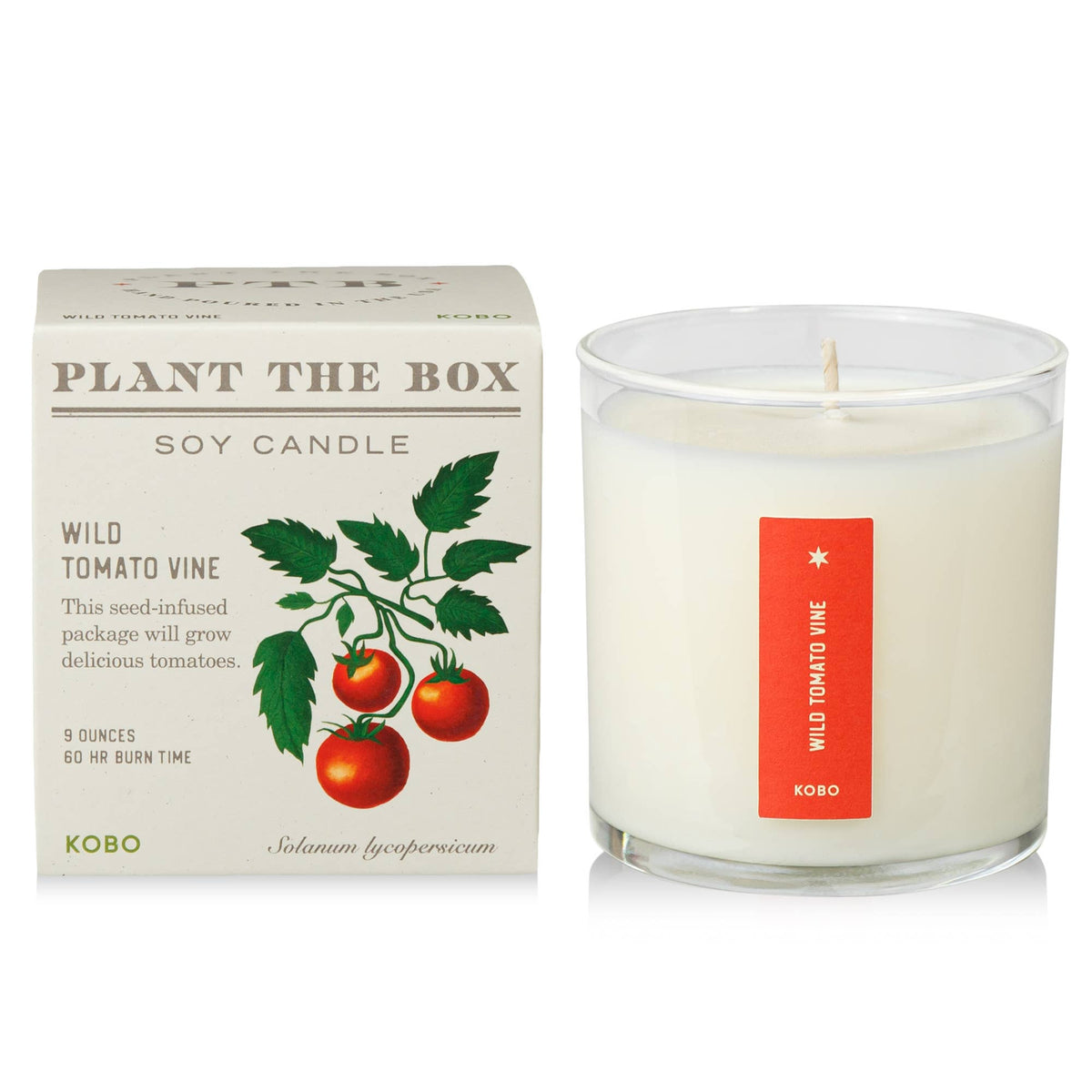 Wild Tomato Vine - Plant the Box Candle - 9oz.
