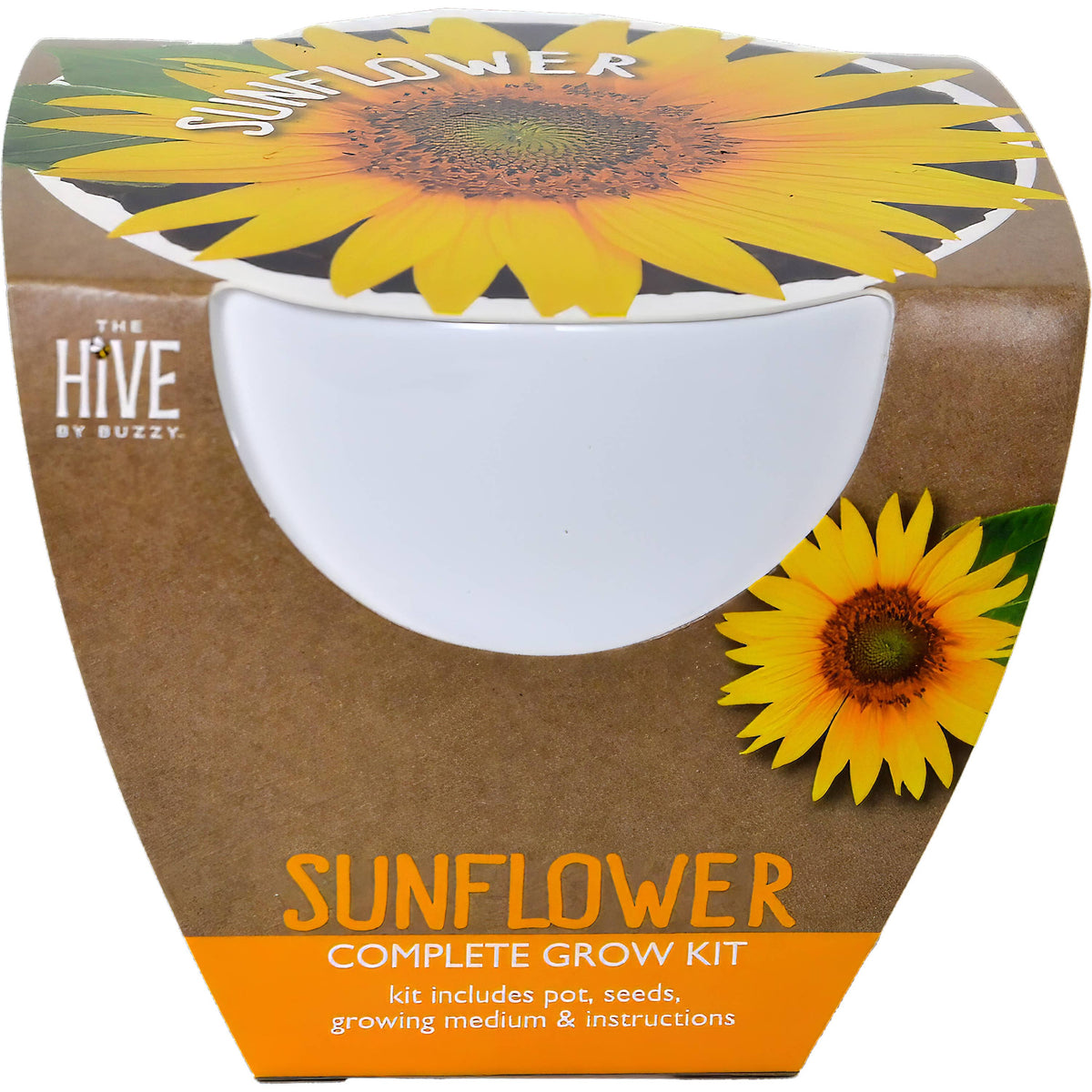Timeless Ceramic Assorted Seed Grow Kit