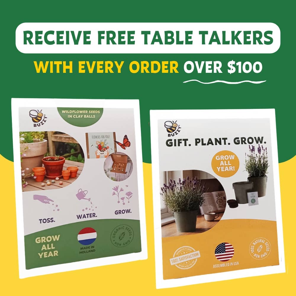 Timeless Ceramic Assorted Seed Grow Kit