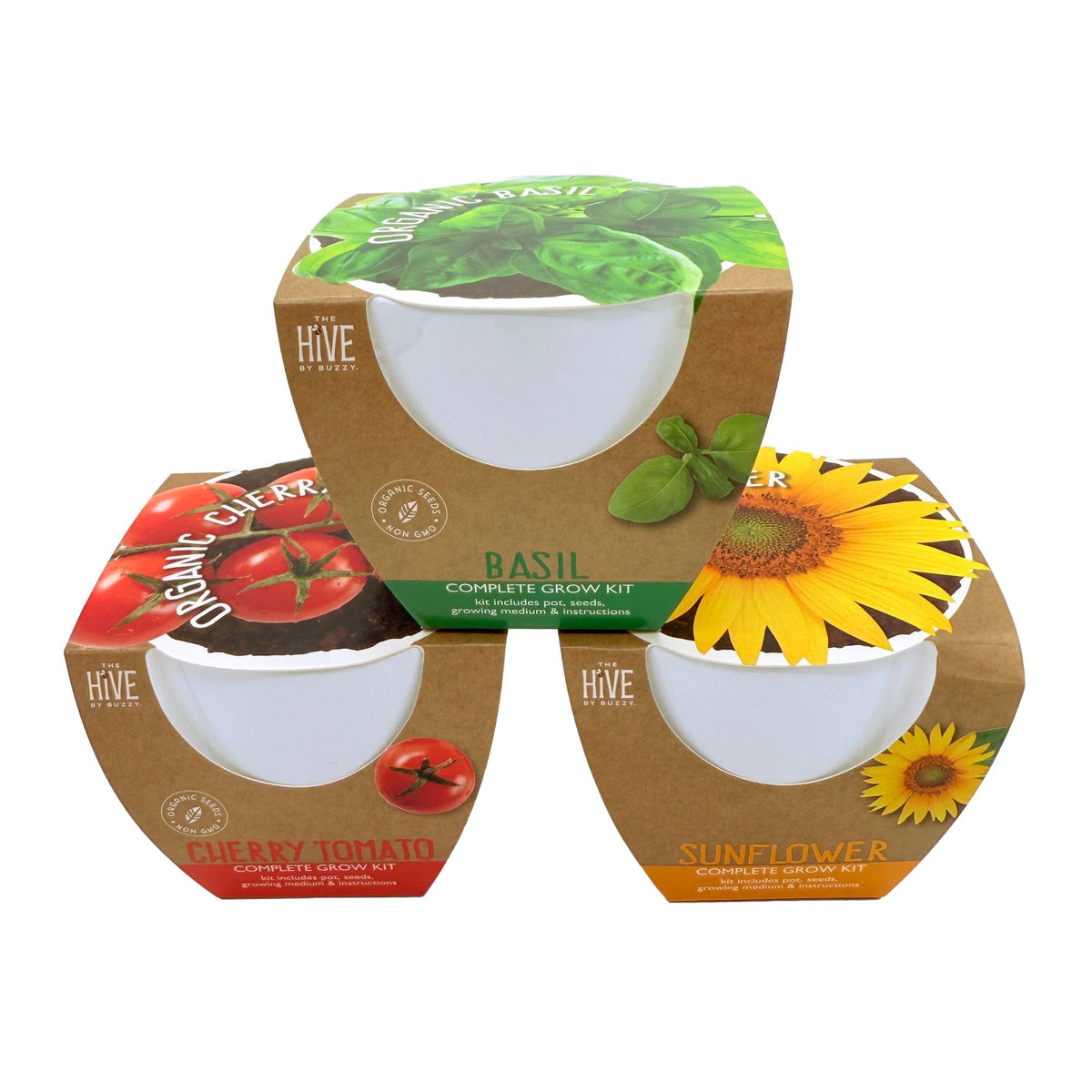 Timeless Ceramic Assorted Seed Grow Kit