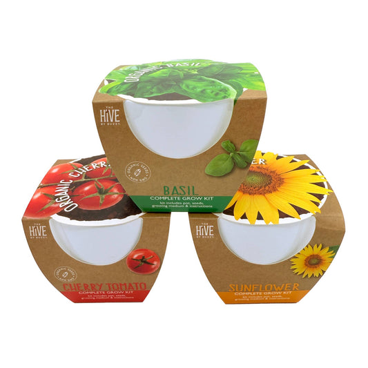 Timeless Ceramic Assorted Seed Grow Kit