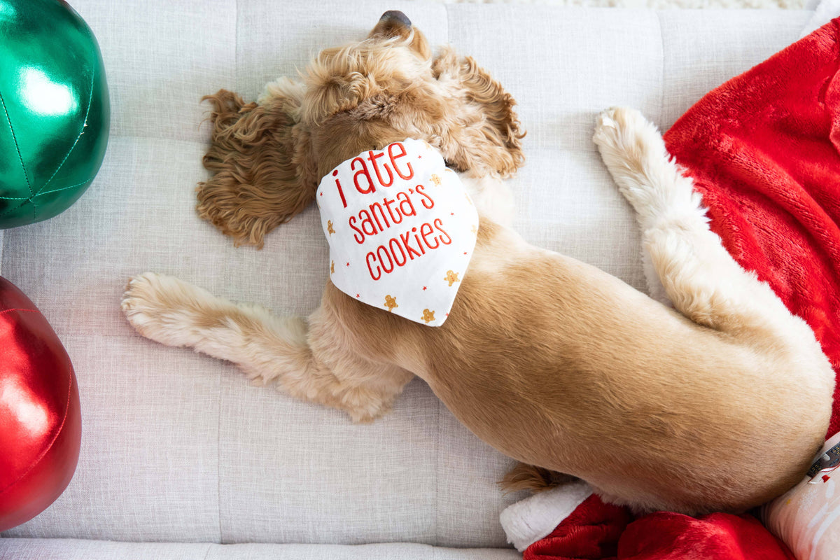 Christmas Dog Bandana, I Ate Santa's Cookies, S/M