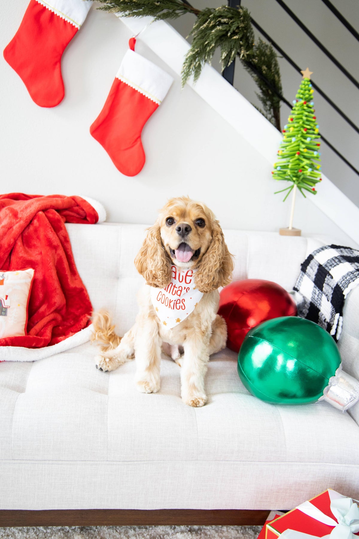 Christmas Dog Bandana, I Ate Santa's Cookies, S/M