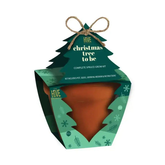 Holiday Spruce Tree Grow Kit | Christmas Tree | Indoor Gift