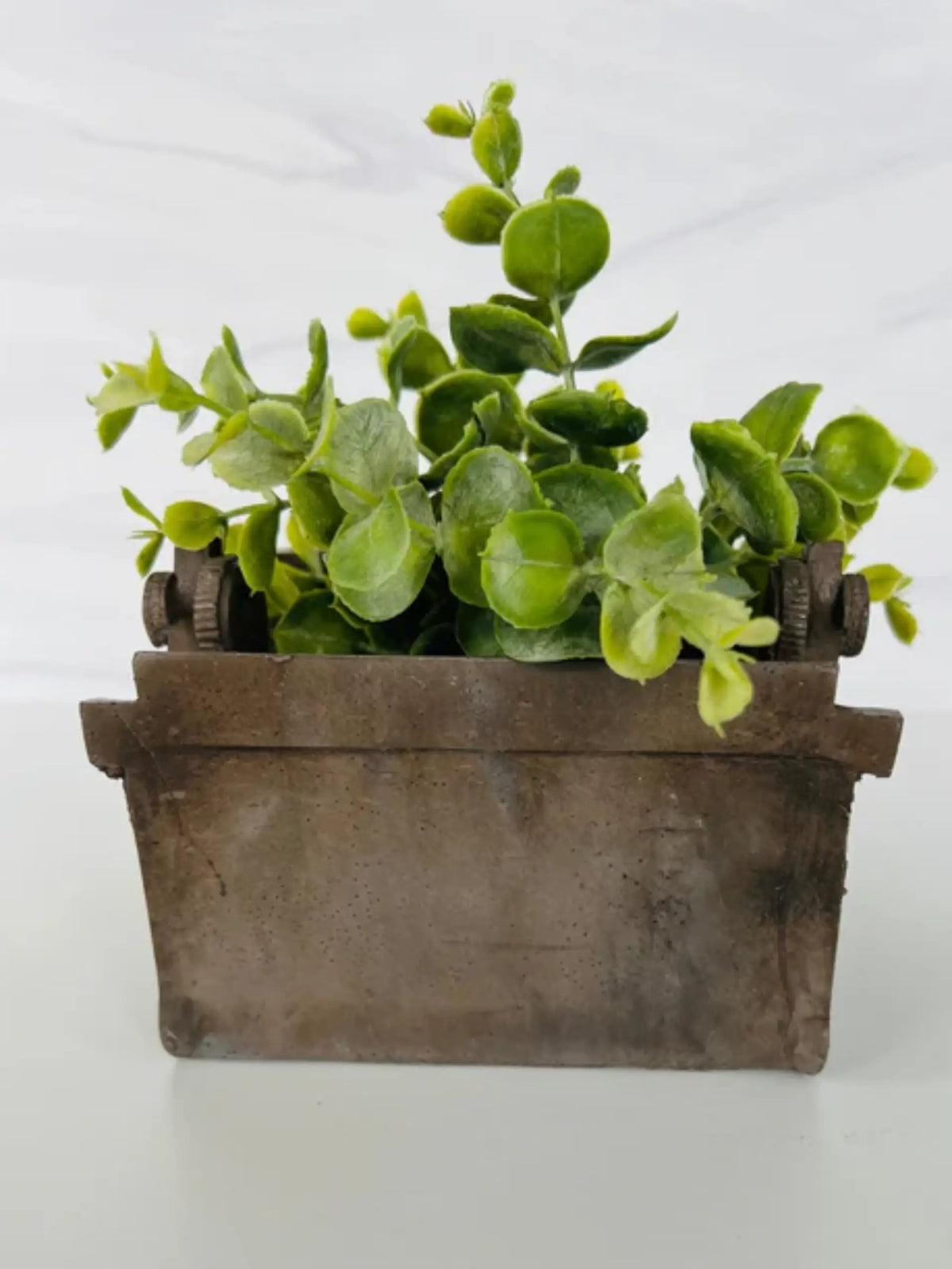 Handmade Cement Typewriter Planter with Drainage Hole