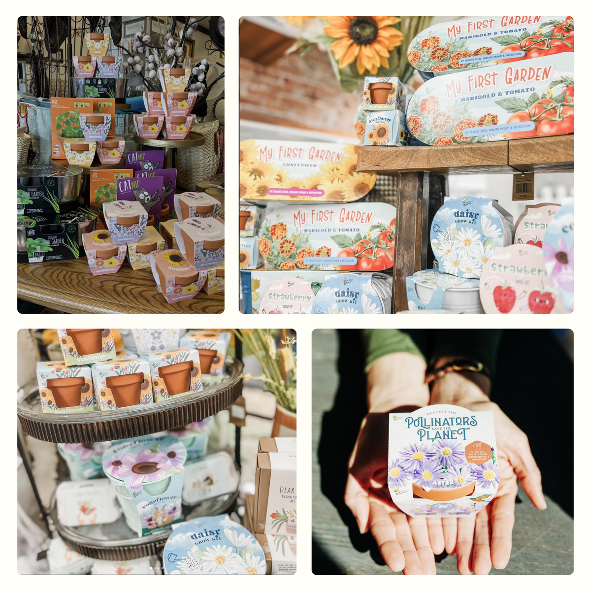 Timeless Ceramic Assorted Seed Grow Kit