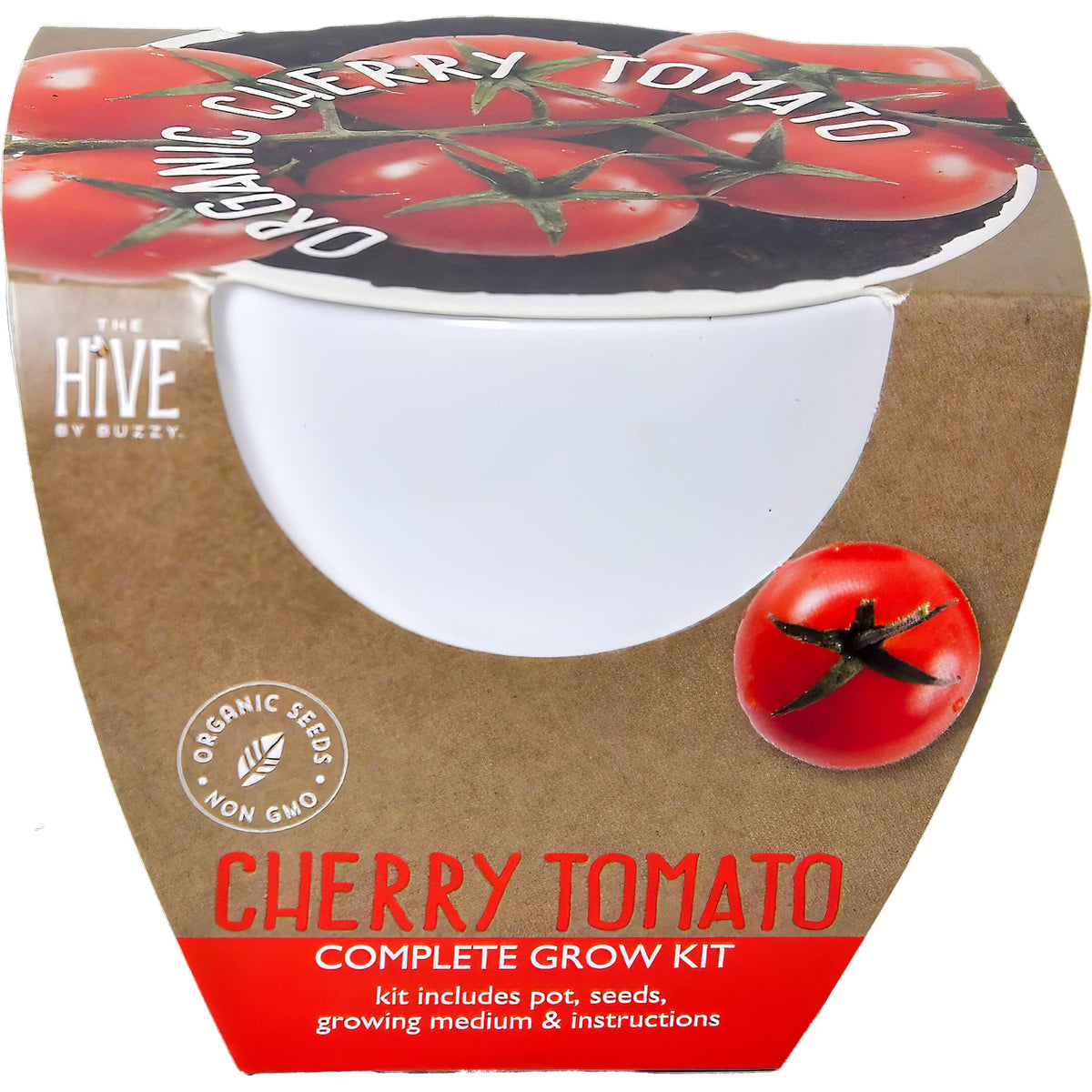Timeless Ceramic Assorted Seed Grow Kit